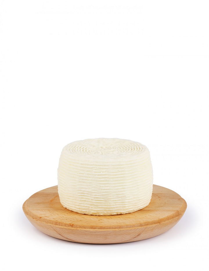 Fresh Pecorino Cheese